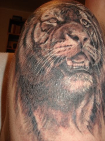 Фото и  значения татуировки Тигр. X_fe65da51